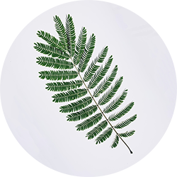 Logo De Plantengids